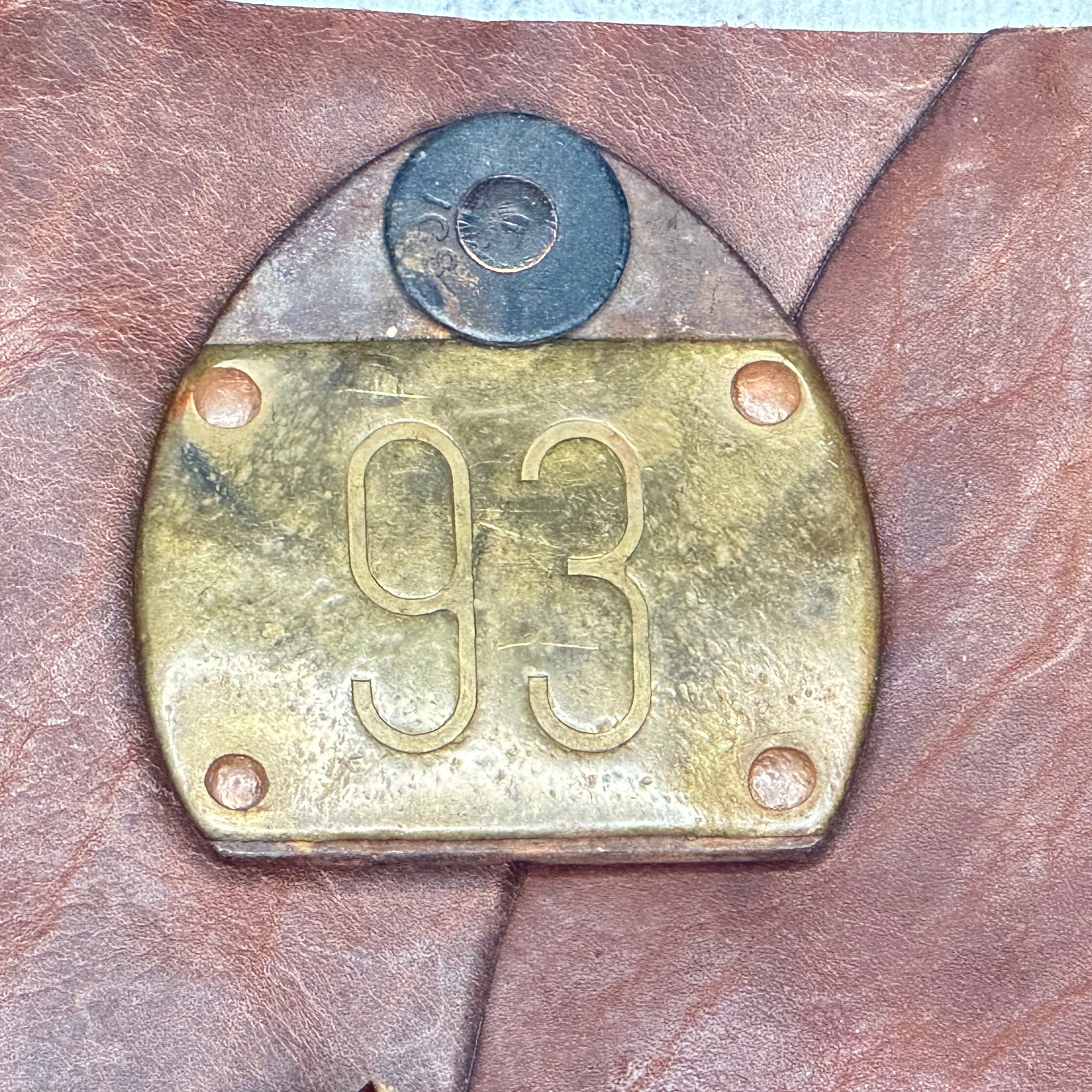 Perugia - Rusty Pebble Bison/BB/Cattle ID Tag #93