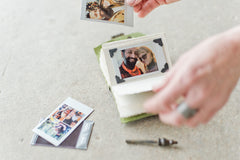 Amalfi - Emerald Bison/BB/Door Hinge